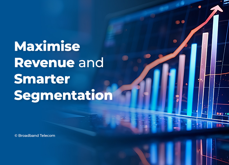 revenue and segmentation